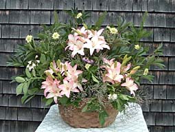 Potato blossoms in potato basket